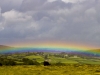 dartmoor-rainbow