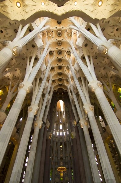 Sagrada Familia ceiling