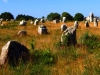 2011_07_14_france-carnac-megalithic-stones-small