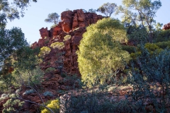 2016 Red Centre-7