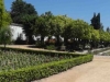 Alcazar gardens