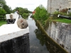 44-wally-at-the-grand-canal-ireland-sm