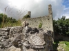 50-wally-at-the-ruins-of-a-norman-castle-ballycumber-county-offaly-ireland-sm